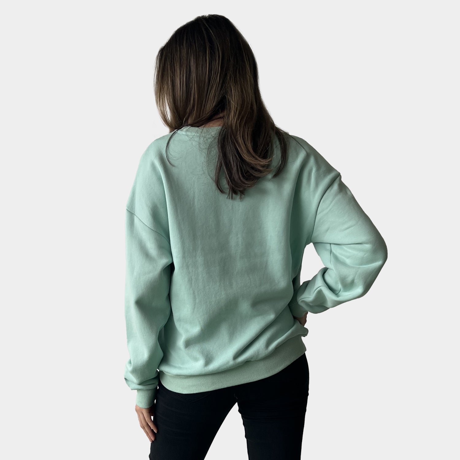 AM022132 EMBROIDERY MILAN SWEATSHIRT (SALE)